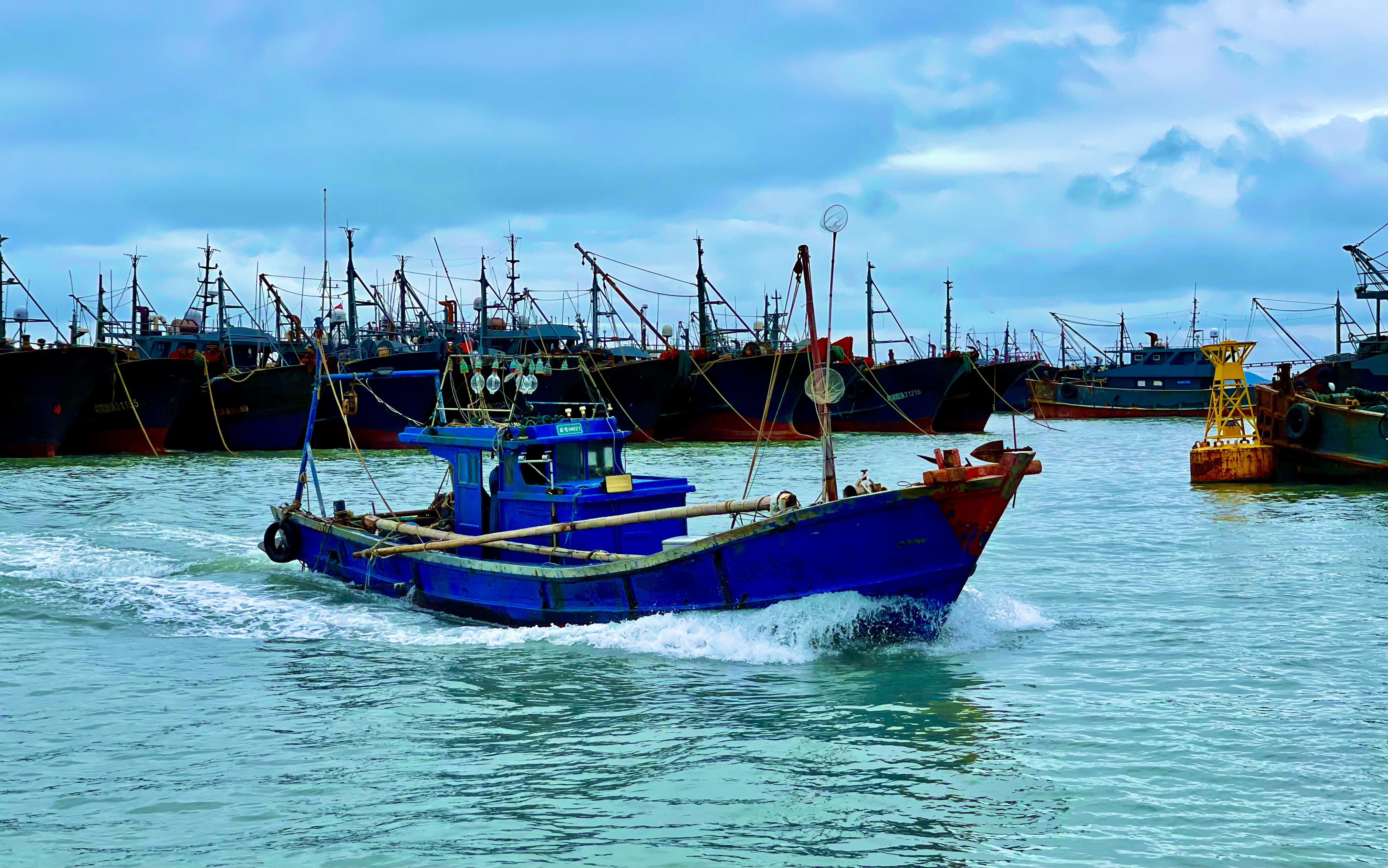 渔归 陈辅清.jpg