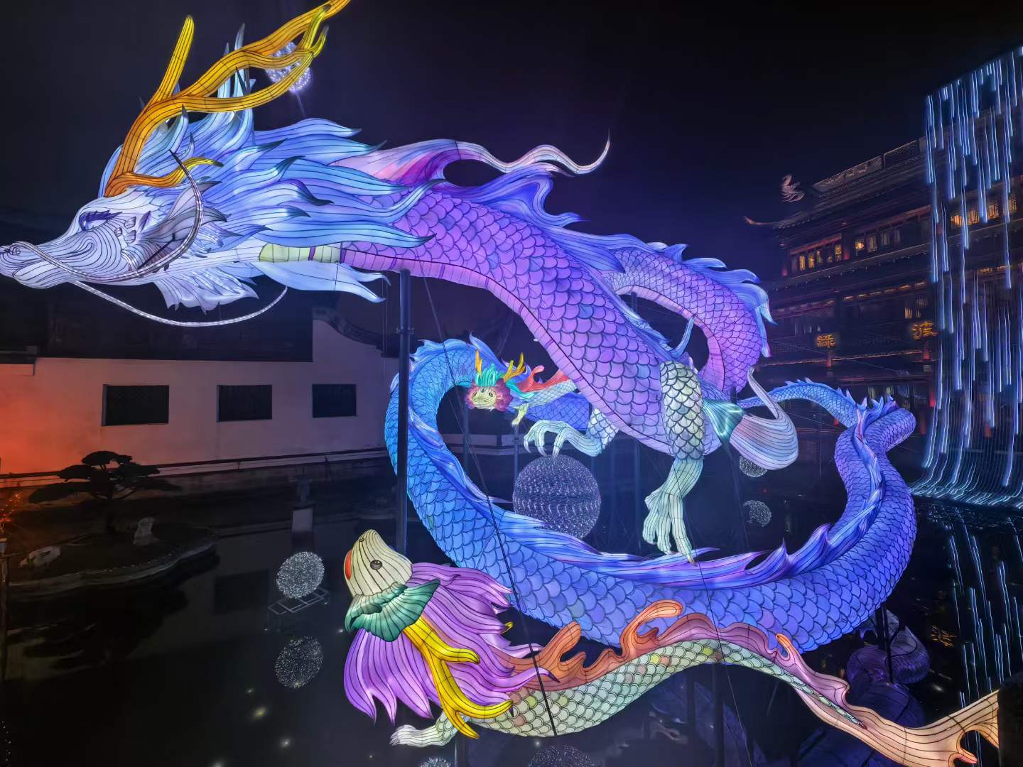 聚酯沈溢霞-龙舞新春，，，，，，，，共创辉煌.png